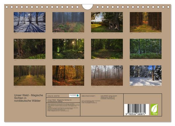 Produktbild: Unser Wald - Magische Sichten in norddeutsche W&auml;lder (Wandkalender 2026 DIN A4 quer), CALVENDO Monatskalender