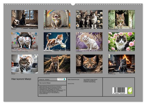 Produktbild: Hier kommt Mietzi (hochwertiger Premium Wandkalender 2026 DIN A2 quer), Kunstdruck in Hochglanz