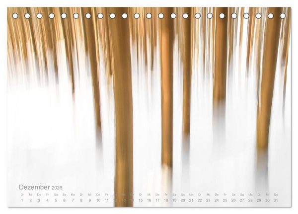 Produktbild: Astrein! - Der Baumkalender 2026 (Tischkalender 2026 DIN A5 quer), CALVENDO Monatskalender