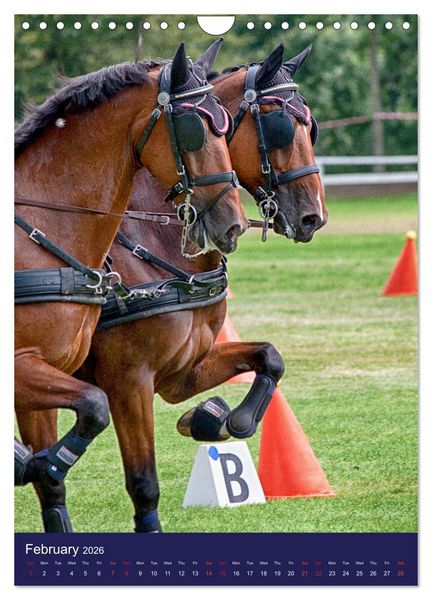 Produktbild: Carriage Driving - Horses in Action (Wall Calendar 2026 DIN A4 portrait), CALVENDO 12 Month Wall Calendar