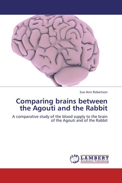 Produktbild: Comparing brains between the Agouti and the Rabbit