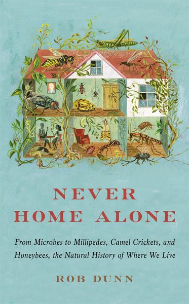Produktbild: Never Home Alone