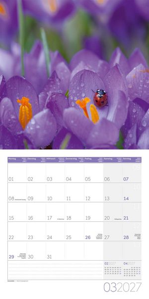 Produktbild: Gartenfreunde Kalender 2027 - 30x30 - Art12