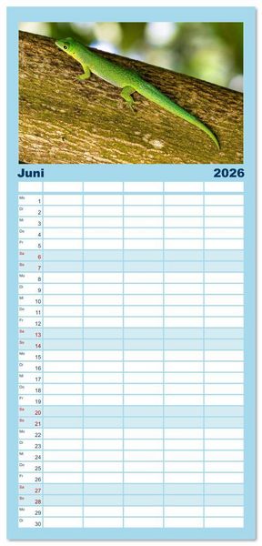Produktbild: Familienplaner 2026 - Die Seychellen - ganz nah am Paradies mit 5 Spalten (Wandkalender, 21 x 45 cm) CALVENDO