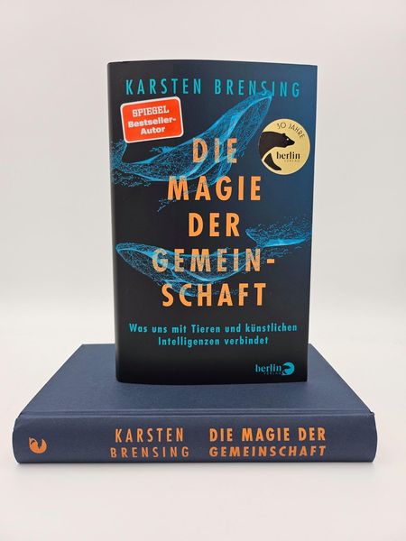 Produktbild: Die Magie der Gemeinschaft