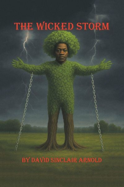 Produktbild: The Wicked Storm