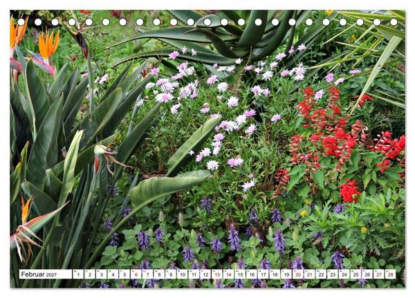 Produktbild: Bl&uuml;tenzauber auf Madeira. Wildblumen und Ziergew&auml;chse (Tischkalender 2027 DIN A5 quer), CALVENDO Monatskalender