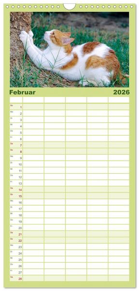 Produktbild: Familienplaner 2026 - Katzen mit 5 Spalten (Wandkalender, 21 x 45 cm) CALVENDO