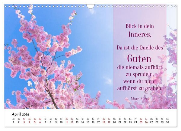 Produktbild: Lebensweisheiten, motivierende Spr&uuml;che und kluge Zitate mit Bildern der Natur (Wandkalender 2026 DIN A3 quer), CALVENDO Monatskalender