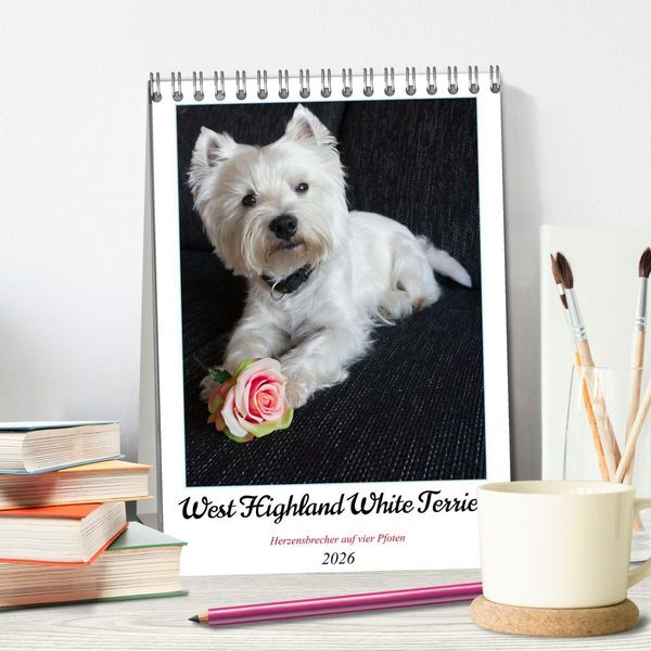 Produktbild: West Highland White Terrier - Herzensbrecher auf vier Pfoten (Tischkalender 2026 DIN A5 hoch), CALVENDO Monatskalender