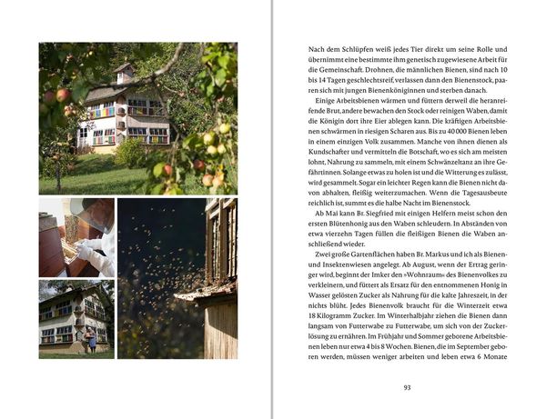 Produktbild: Das Glück wächst im Garten