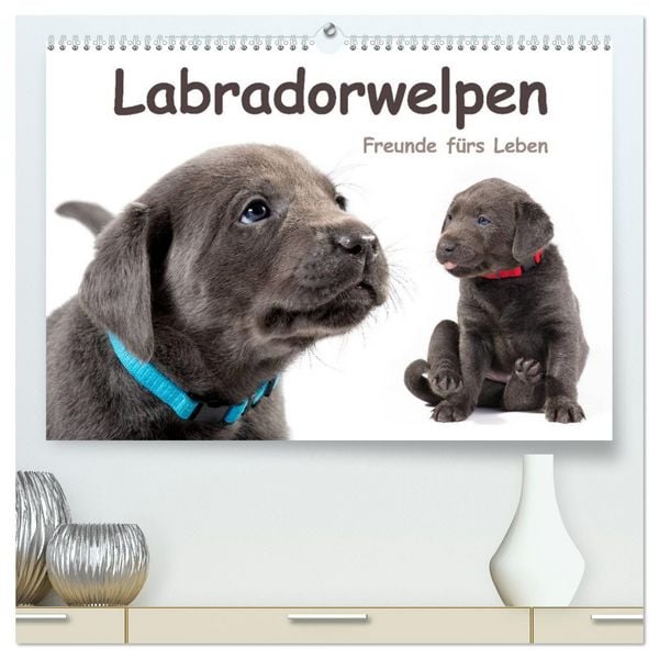 Labradorwelpen - Freunde fürs Leben (hochwertiger Premium Wandkalender 2026 DIN A2 quer), Kunstdruck in Hochglanz