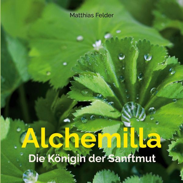 Produktbild: Alchemilla