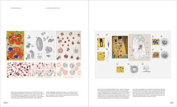 Produktbild: Gustav Klimt und die Medizin