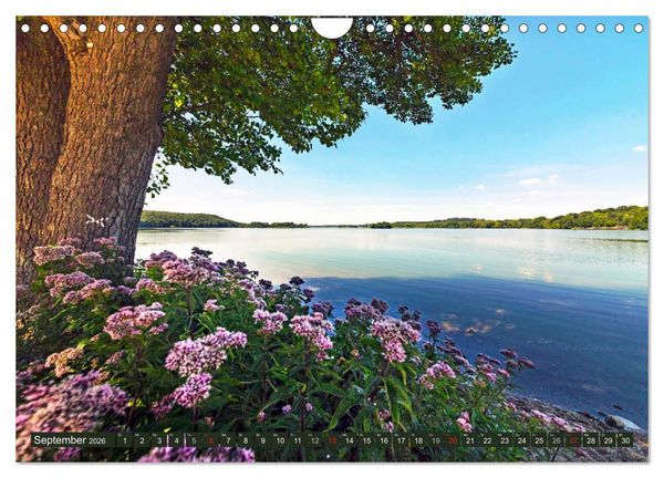 Produktbild: Holsteinische Schweiz - F&uuml;nf-Seen-Landschaft (Wandkalender 2026 DIN A4 quer), CALVENDO Monatskalender