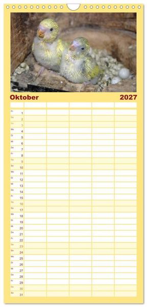 Produktbild: Familienplaner 2027 - Wellensittiche - Gefiederte Freunde mit 5 Spalten (Wandkalender, 21 x 45 cm) CALVENDO
