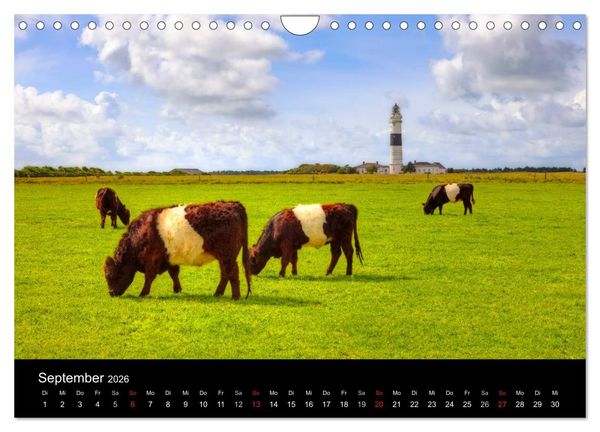 Produktbild: Sylt (Wandkalender 2026 DIN A4 quer), CALVENDO Monatskalender