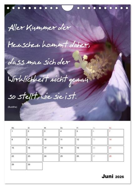 Produktbild: Spr&uuml;che und Weisheiten f&uuml;r&acute; s Jahr (Wandkalender 2026 DIN A4 hoch), CALVENDO Monatskalender