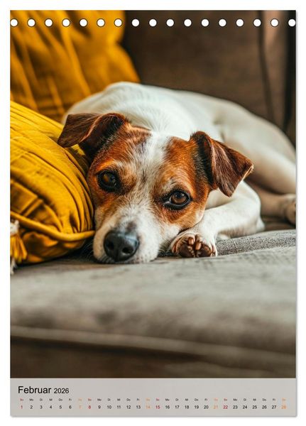 Produktbild: Jack Russel Terrier - furchtlos und viel Selbstvertrauen (Tischkalender 2026 DIN A5 hoch), CALVENDO Monatskalender