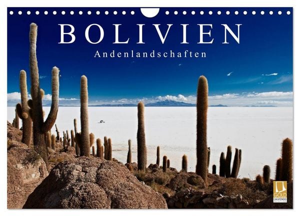 Produktbild: Bolivien Andenlandschaften (Wandkalender 2026 DIN A4 quer), CALVENDO Monatskalender
