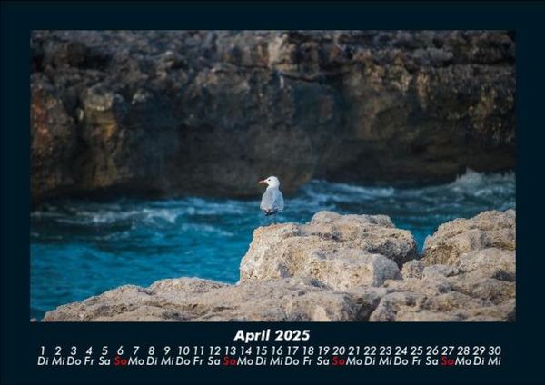 Produktbild: Sehnsucht nach Meer 2025 Fotokalender DIN A5