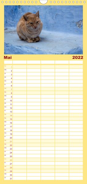 Produktbild: Familienplaner Chefchaouen - Blaue Stadt in Marokko (Wandkalender 2022 , 21 cm x 45 cm, hoch)