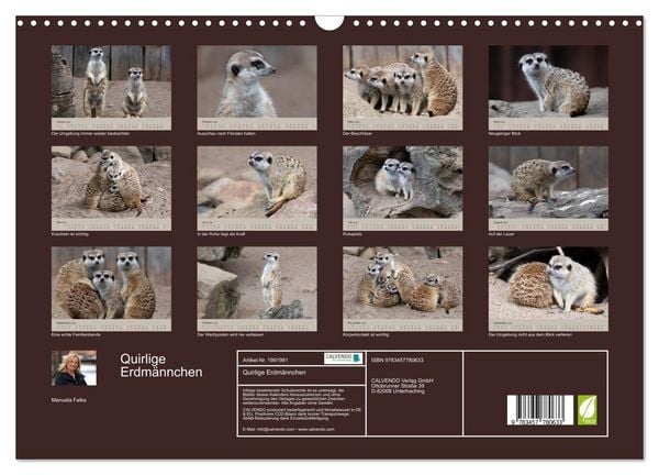 Produktbild: Quirlige Erdm&auml;nnchen (Wandkalender 2026 DIN A3 quer), CALVENDO Monatskalender
