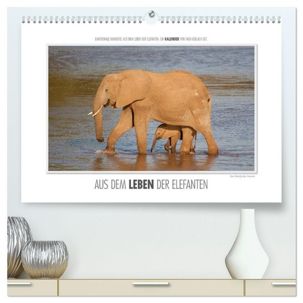 Produktbild: Emotionale Momente: Aus dem Leben der Elefanten. / CH-Version (hochwertiger Premium Wandkalender 2026 DIN A2 quer), Kunstdruck in Hochglanz
