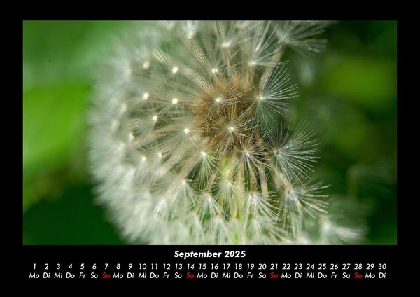 Produktbild: Unser Heimatplanet 2025 Fotokalender DIN A3