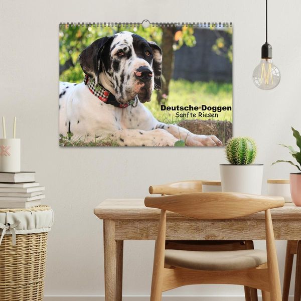 Produktbild: Deutsche Doggen - Sanfte Riesen (Wandkalender 2026 DIN A3 quer), CALVENDO Monatskalender