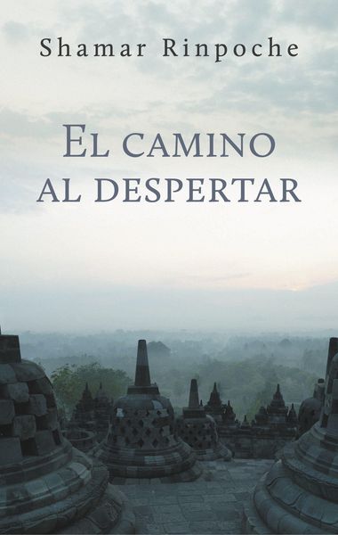 Produktbild: El Camino Al Despertar