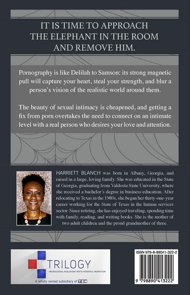 Produktbild: In the Spider's Web