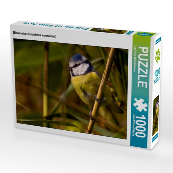 Produktbild: CALVENDO Puzzle Blaumeise (Cyanistes caeruleus) | 1000 Teile Lege-Gr&ouml;&szlig;e 64x48cm Foto-Puzzle f&uuml;r gl&uuml;ckliche Stunden