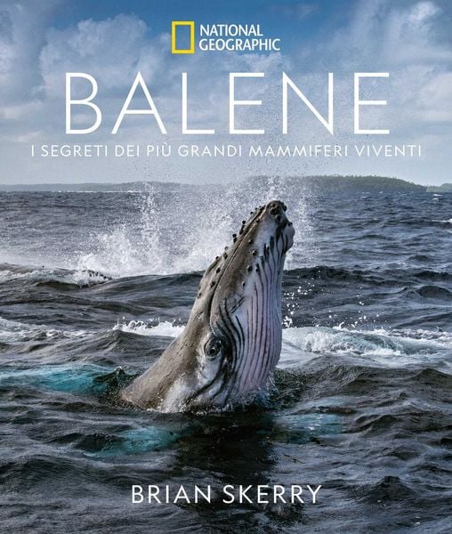 Produktbild: Balene. I segreti dei pi&ugrave; grandi mammiferi viventi