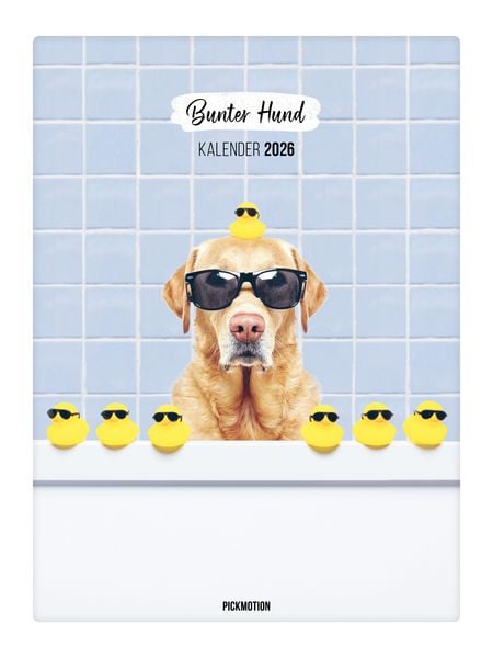 Produktbild: Wandkalender 2026 - Bunter Hund