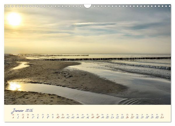 Produktbild: OSTSEEGL&Uuml;CK - Gl&uuml;cksmomente auf dem Dar&szlig; (Wandkalender 2026 DIN A3 quer), CALVENDO Monatskalender