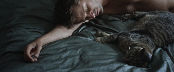 Produktbild: Kater