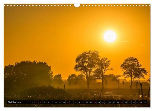 Produktbild: Immer wieder Sonnenschein (Wandkalender 2026 DIN A3 quer), CALVENDO Monatskalender