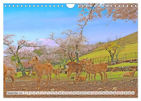 Produktbild: Japan das Land der aufgehenden Sonne (Wandkalender 2026 DIN A4 quer), CALVENDO Monatskalender
