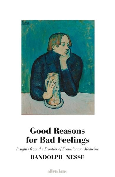 Produktbild: Good Reasons for Bad Feelings