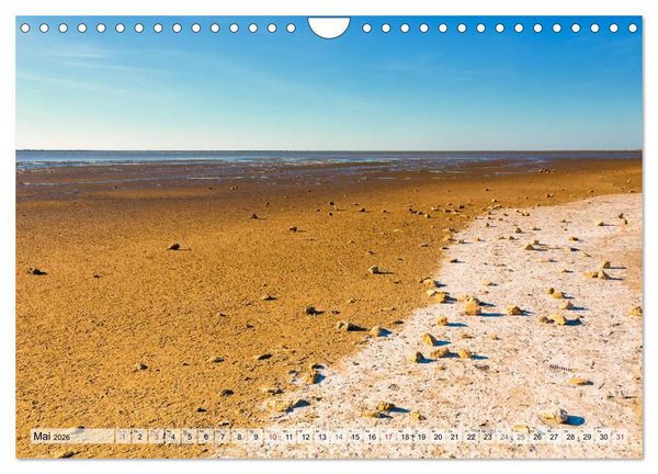 Produktbild: Camargue - Der wilde S&uuml;den Frankreichs (Wandkalender 2026 DIN A4 quer), CALVENDO Monatskalender