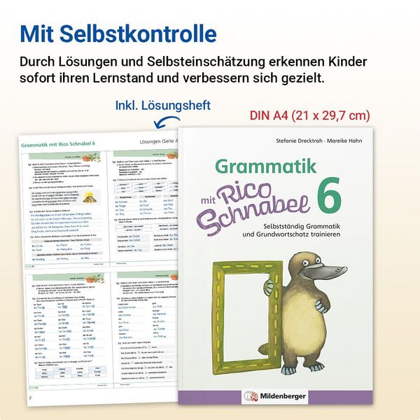 Produktbild: Grammatik mit Rico Schnabel, Klasse 6