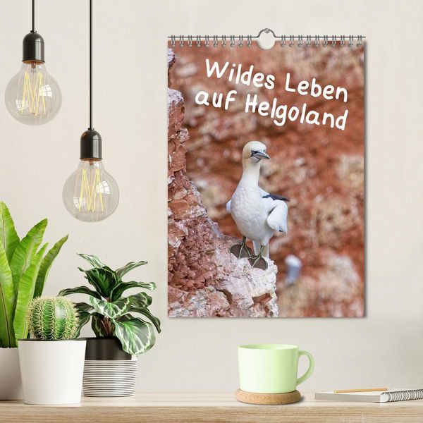 Produktbild: Wildes Leben auf Helgoland (Wandkalender 2026 DIN A4 hoch), CALVENDO Monatskalender
