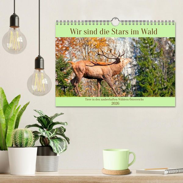 Produktbild: Wir sind die Stars im Wald (Wandkalender 2026 DIN A4 quer), CALVENDO Monatskalender