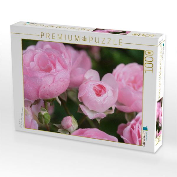 Produktbild: CALVENDO Puzzle Rose 'The Fairy' | 1000 Teile Lege-Gr&ouml;&szlig;e 64x48cm Foto-Puzzle f&uuml;r gl&uuml;ckliche Stunden