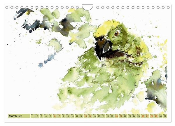 Produktbild: The Fascinating World of Birds in Watercolour (Wall Calendar 2027 DIN A4 landscape), CALVENDO 12 Month Wall Calendar