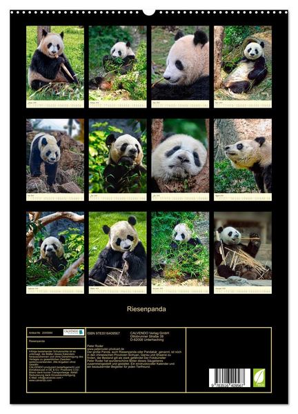 Produktbild: Riesenpanda (hochwertiger Premium Wandkalender 2026 DIN A2 hoch), Kunstdruck in Hochglanz