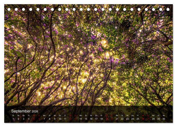 Produktbild: Wundervolle Naturlandschaften (Tischkalender 2026 DIN A5 quer), CALVENDO Monatskalender
