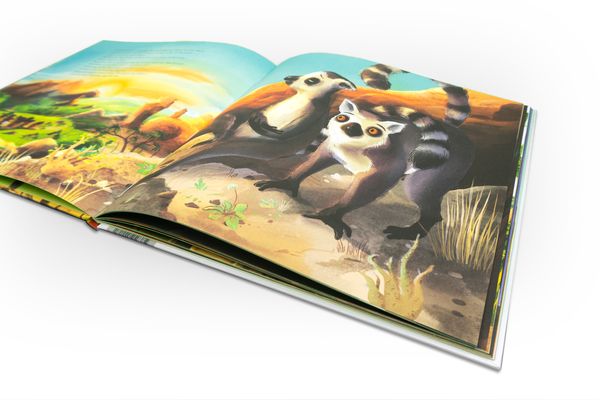 Produktbild: Volanas Madagaskar-Abenteuer