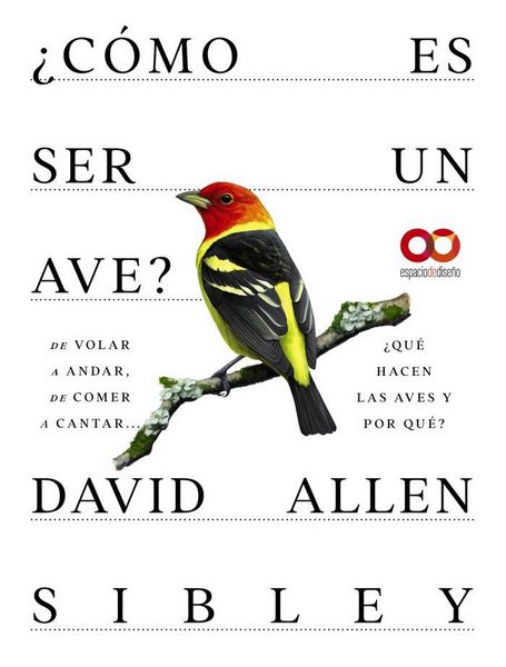 Produktbild: &iquest;C&oacute;mo es ser un ave? De volar a anidar, de comer a cantar... &iquest;Qu&eacute; hacen las aves y por qu&eacute;?